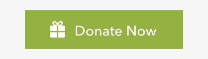 Donate Now Button 